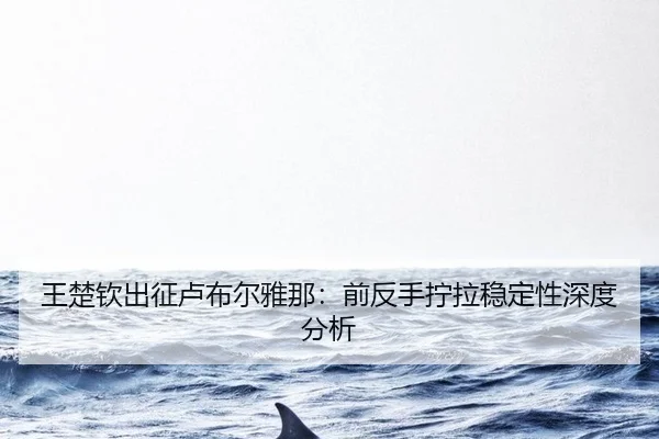 wang-chu-qin-chu-zheng-lu-bu-er-ya-na-qian-fan-shou-ning-la-wen-ding-xing-shen-du-fen-xi-2-870.jpg
